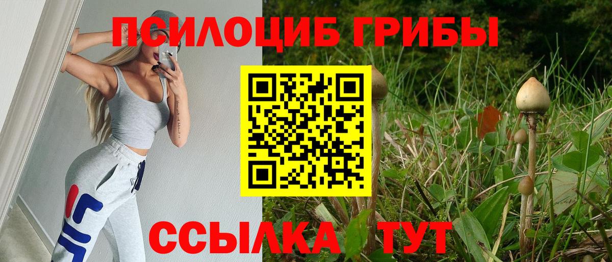Галлюциногенные грибы MAGIC MUSHROOMS Мончегорск