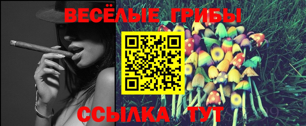 МЕТАДОН Мончегорск