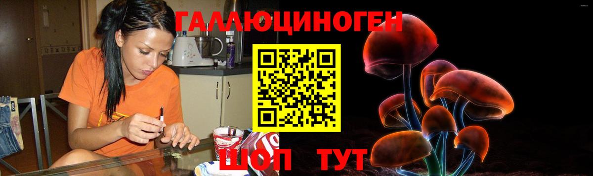 Галлюциногенные грибы Psilocybe  Псилоцибиновые грибы мицелий  Вход с VPN  Мончегорск 